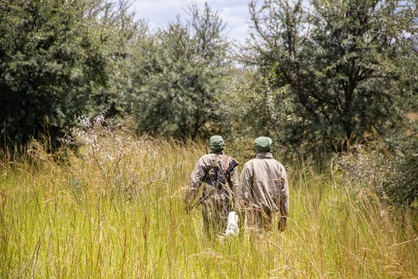 Zimbabwe 'deki hayvan koruma parkında, Imire Rhino' da ve Vahşi Yaşam Koruma Alanında silahlı korucular.