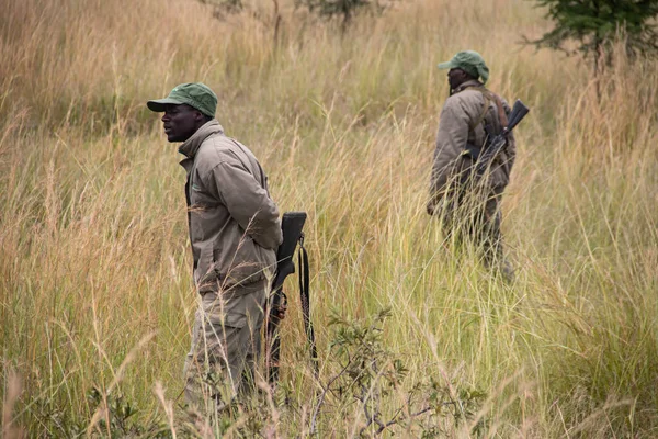在津巴布韦伊米尔犀牛和野生动物保护区动物保护公园持枪的游骑兵 — 图库照片