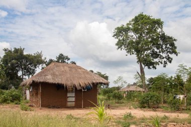 Afrika 'nın ücra bir köyünde sazdan çatılı, çok basit ve kötü yaşam koşulları olan tipik bir kırsal çamur evi.