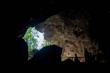 Resavska Pecina 'nın içi sarkıtların, dikitlerin ve eşsiz mineral oluşumlarının büyüleyici bir senfonisidir. Yumuşak ve büyüleyici renklerle aydınlatılır..