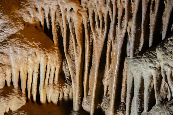 Resavska Pecina 'nın içi sarkıtların, dikitlerin ve eşsiz mineral oluşumlarının büyüleyici bir senfonisidir. Yumuşak ve büyüleyici renklerle aydınlatılır..