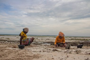 Hint Okyanusu kıyısındaki Mozambik 'ten gelen Afrikalı kadın, deniz seviyesi düşükken bilezik ve mücevher üretimi için renkli taşlar ve kabuklar topluyor. 