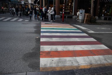 Belçika 2023, beyaz çizgiler arasında gökkuşağı desenli yaya zebra yolu..