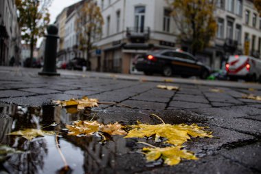 Belgrad 'daki uluslararası askeri fuarda açılan dört namlulu 23 mm' lik döner top makineli tüfeği