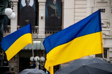 Ukraynalı mülteciler, Rusya 'nın Ukrayna' ya saldırısından 2 yıl sonra Belgrad sokaklarında toplanarak Ukrayna, Ukrayna bayrakları ve sembolleri olan Ukrayna 'da ateşkes ve savaşın sona ermesini talep ettiler.