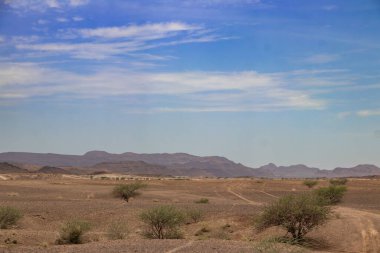Etiyopya 'daki Alolabad jeotermal alanı. Rengarenk kaplıcaların gerçeküstü manzarası, dumanı tüten fümeroller ve deniz seviyesinin altındaki kurak ve uzak bir çöl olan Afar Çölü' nde tuz gayzerleri. Suyun sıcaklığı 112C 'ye çıktı. 