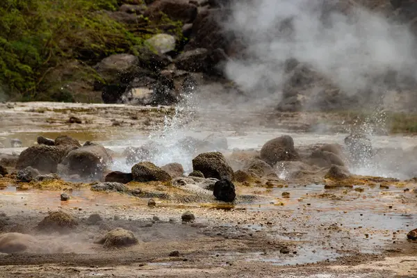 stock image Alolabad geothermal area in Ethiopia with surreal landscape of colorful hot springs, steaming fumaroles, and erupting salt geysers in an arid, remote desert setting below sea level, Afar desert. Temperature of water is up to 112C 