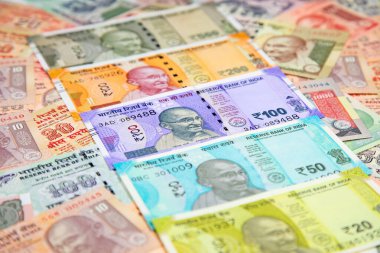 Hint banknotlarının koleksiyonu.