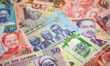 Afrika banknotlarının çeşitliliği
