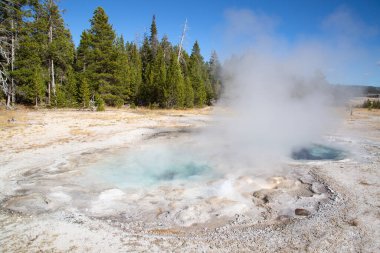 Yellowstone Ulusal Parkı, ABD