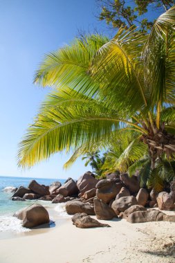 Famous Anse Lazio beach on the Praslin island, Seychelles