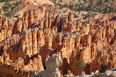 Bryce Canyon Ulusal Parkı Utah, ABD