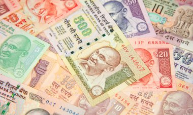 Hint banknotlarının koleksiyonu.