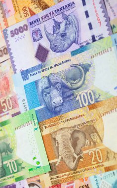 Afrika banknotlarının çeşitliliği
