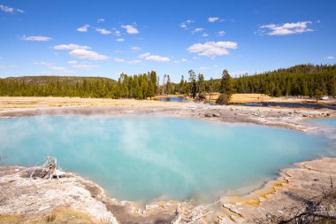 Yellowstone Ulusal Parkı 'ndaki kara kum gayzer havzası, ABD