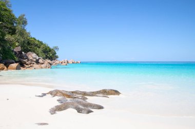 Famous Anse Lazio beach on the Praslin island, Seychelles