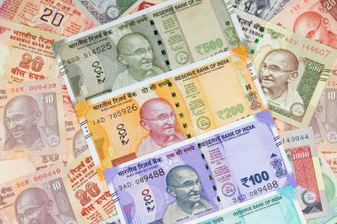 Hint banknotlarının koleksiyonu.