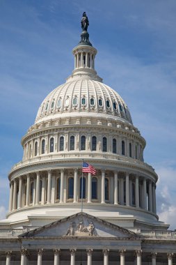 US Capitol in Washington DC (District of Columbia), United States of America
