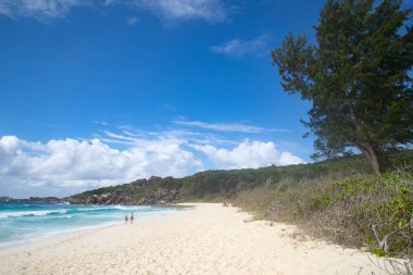 Seyşeller 'deki La Digue adasında ünlü Grand Anse plajı.