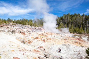 Norris gayzer havzası Yellowstone Ulusal Parkı, ABD