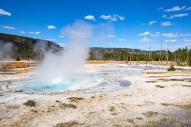 Yellowstone Ulusal Parkı 'ndaki kara kum gayzer havzası, ABD