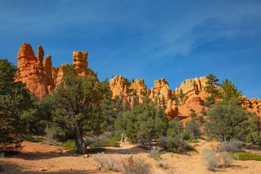 Bryce Canyon Ulusal Parkı Utah, ABD