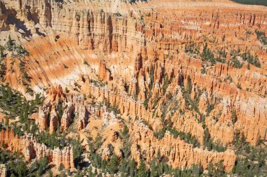 Bryce Canyon Ulusal Parkı Utah, ABD
