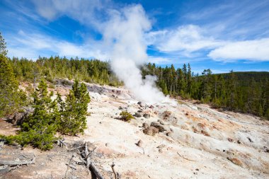 Norris gayzer havzası Yellowstone Ulusal Parkı, ABD