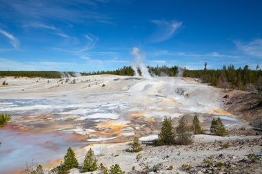 Norris gayzer havzası Yellowstone Ulusal Parkı, ABD
