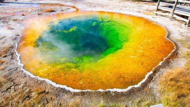 Yellowstone Ulusal Parkı, ABD