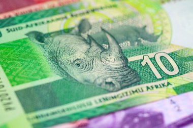 Afrika banknotlarının çeşitliliği