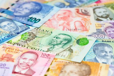 Afrika banknotlarının çeşitliliği