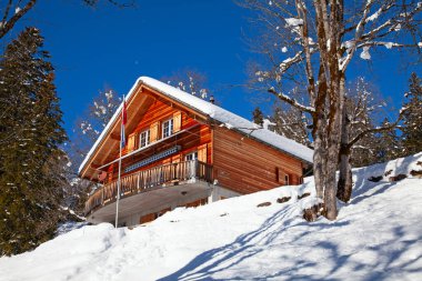 İsviçre Alplerinde kış