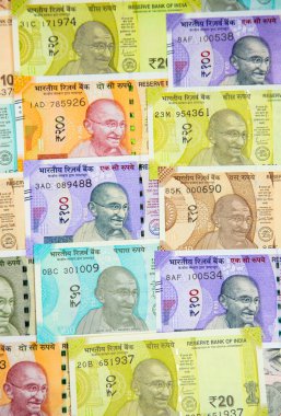 Hint banknotlarının koleksiyonu.