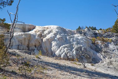 Yellowstone Ulusal Parkı 'ndaki Mamut Kaplıcaları, Wyoming, ABD