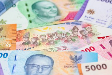 Collection of the Indonesian banknotes (1000 to 100000 Rupiah)
