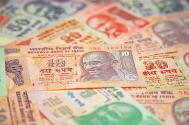 Hint banknotlarının koleksiyonu.