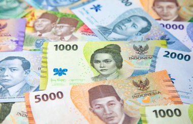 Collection of the Indonesian banknotes (1000 to 100000 Rupiah)