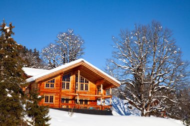 İsviçre Alplerinde kış