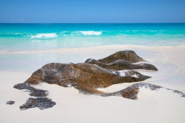 Praslin adasındaki ünlü Petite Anse Kerlan plajı, Seyşeller
