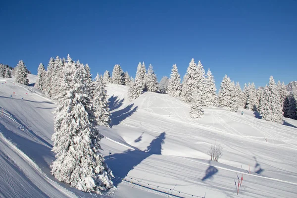 Iarna Alpii Elvețieni Elveția — Fotografie, imagine de stoc