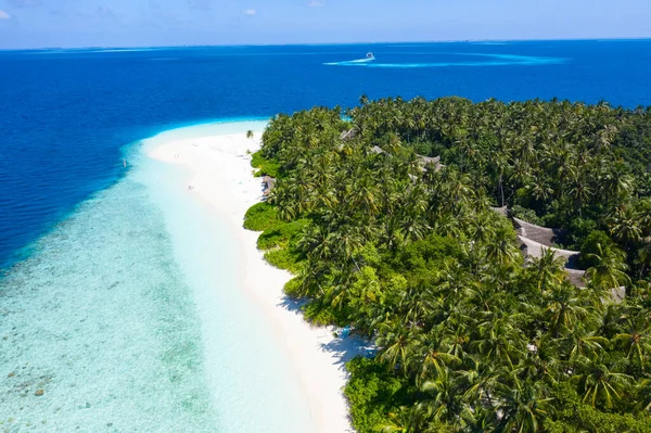 Maldivian Island Paradise Tropics — Stock Photo, Image