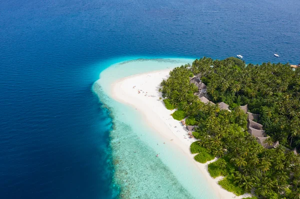 モルディブの小さな島はヤシの木で覆われ 美しいサンゴや動物とターコイズブルーの海に囲まれています — ストック写真