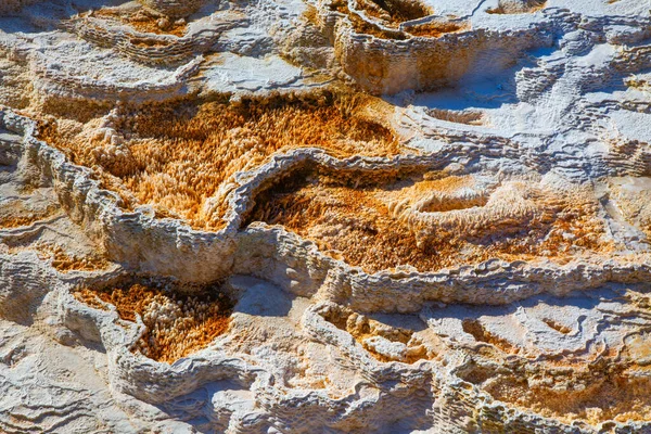Mammutin Kuumia Lähteitä Yellowstonen Kansallispuistossa Wyomingissa Yhdysvalloissa — kuvapankkivalokuva