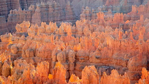 Bryce Canyon Ulusal Parkı Utah Abd — Stok fotoğraf