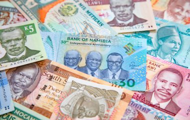 Afrika banknotlarının çeşitliliği 