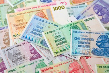 Yüksek enflasyondan sonra Zimbabwe 'nin banknotları