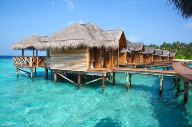 Small island in the Maldives covered by palms and surrounded by turquoise blue waters with with beautiful corals and animals, perfect escape from the cold winter clipart