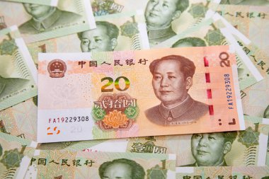 Çin banknotlarının koleksiyonu.