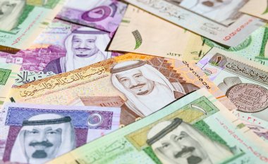 Suudi Arabistan Riyal para koleksiyonu